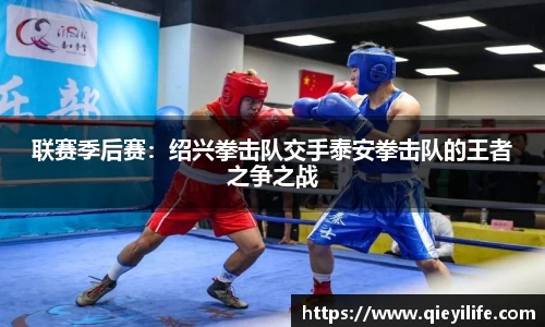 联赛季后赛：绍兴拳击队交手泰安拳击队的王者之争之战