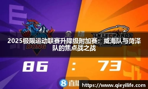 2025极限运动联赛升降级附加赛：威海队与菏泽队的焦点战之战